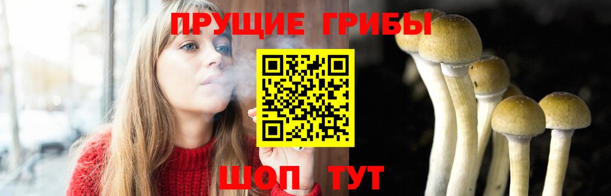 Галлюциногенные грибы MAGIC MUSHROOMS Норильск